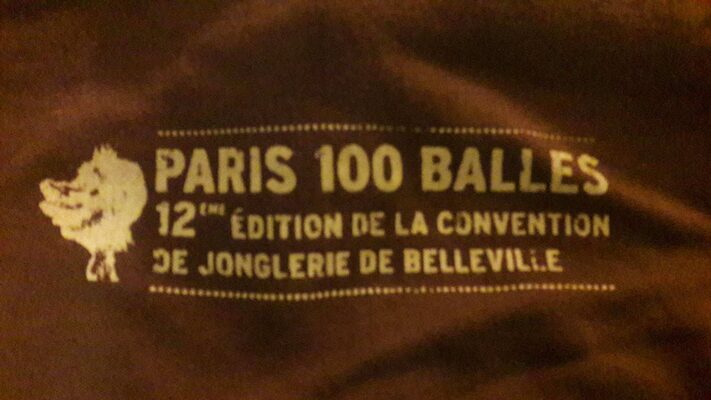 2009 visuel